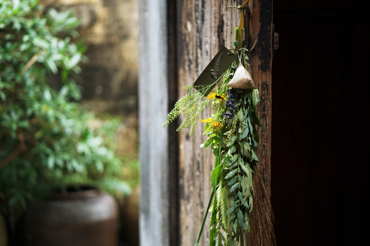 端午節(jié)采摘艾草、掛艾草習(xí)俗