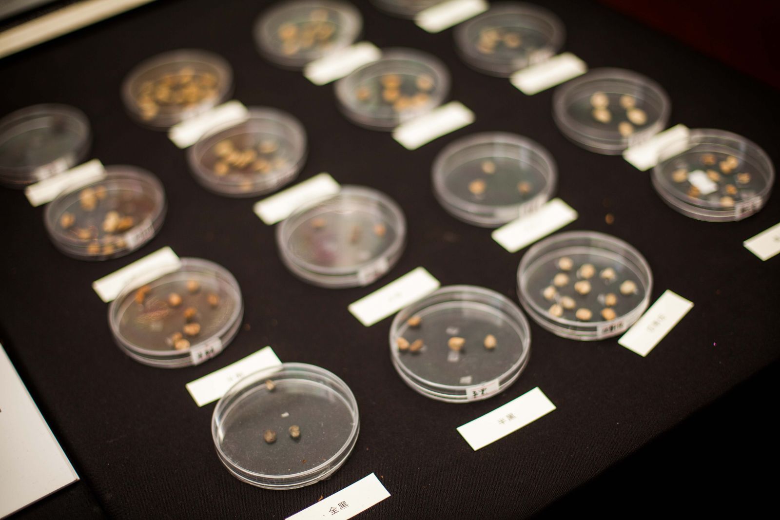 【案例】(廈門)2013咖啡生活集 杭州會議服務,杭州會議旅游,杭州會議場地,杭州會議接待,杭州伍方會議服務有限公司